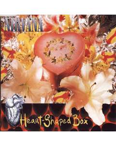  Heart Shaped Box − Nirvana − Drum Sheet Music